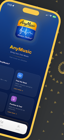 AnyMusic Screen 2
